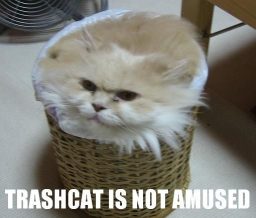 Trashcat logo