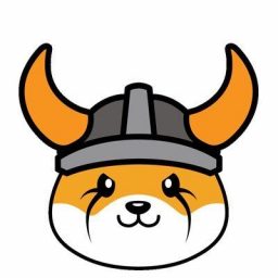 FLOKI logo
